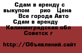 Сдам в аренду с выкупом kia рио › Цена ­ 900 - Все города Авто » Сдам в аренду   . Калининградская обл.,Советск г.